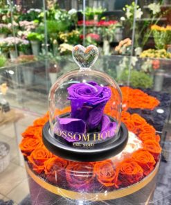 Enchanted rose Endast blomma lila