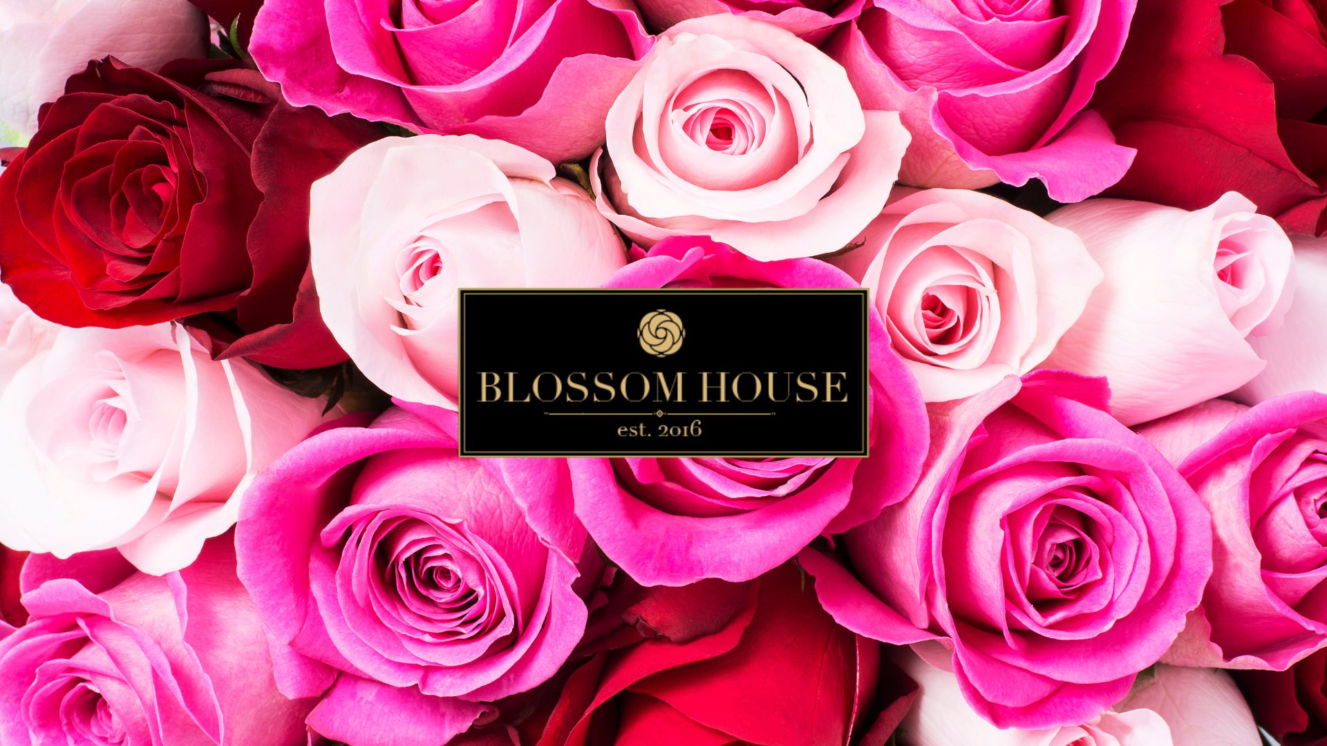 Blossom House flower image with logo